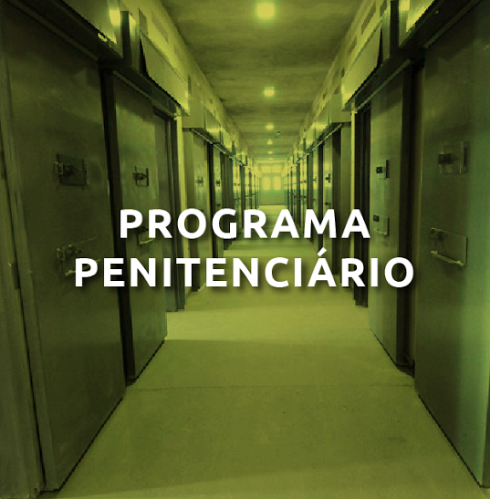 Programa Penitenciário